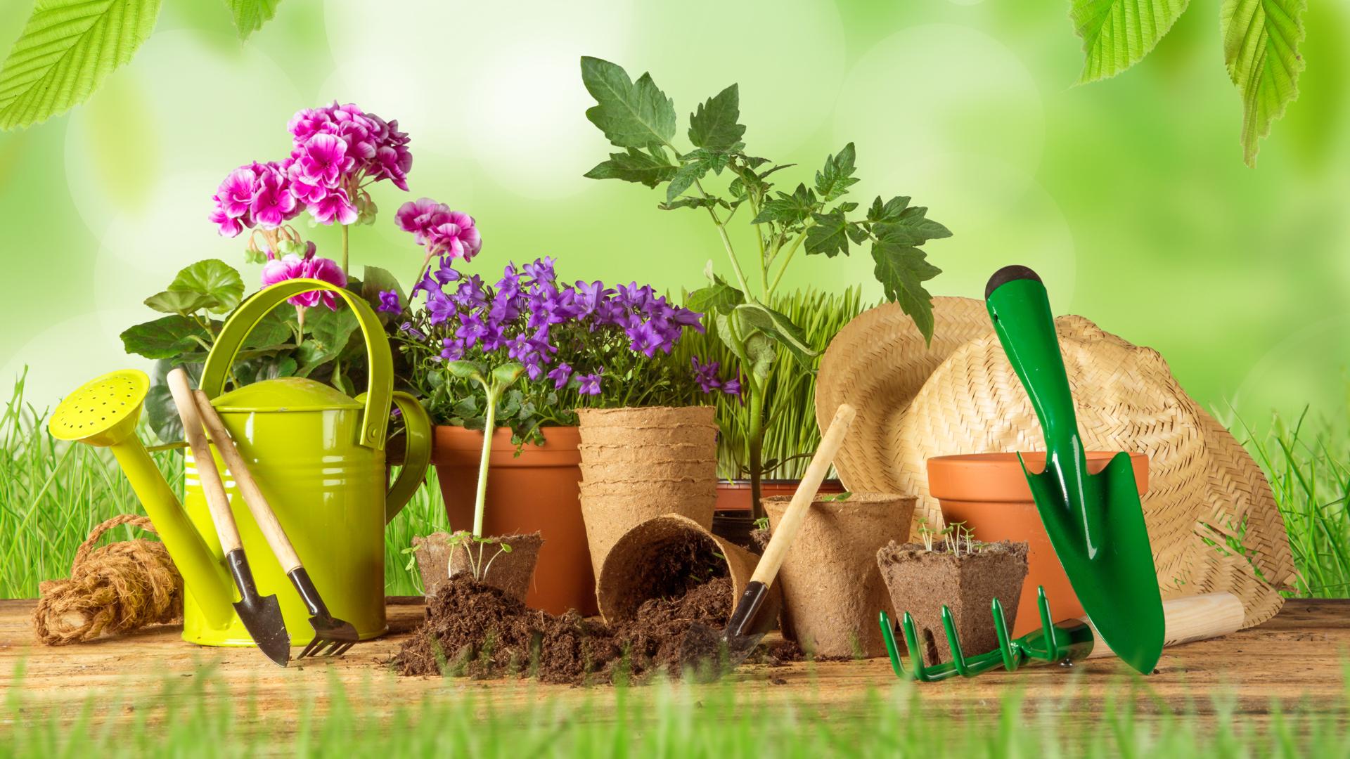 Gartengestaltung Selbst Gemacht Lernen - Attraktives Wohndesign